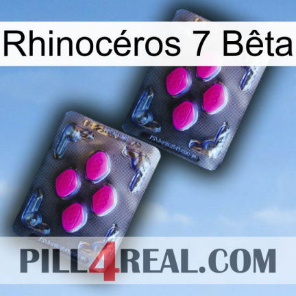 Rhinocéros 7 Bêta 01